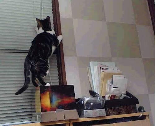 奥运周期关键战焦点战，挪威全面压制智利，北欧风暴席卷南美